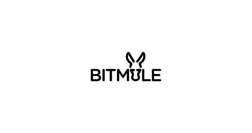 bitmule flat logo inspiration example