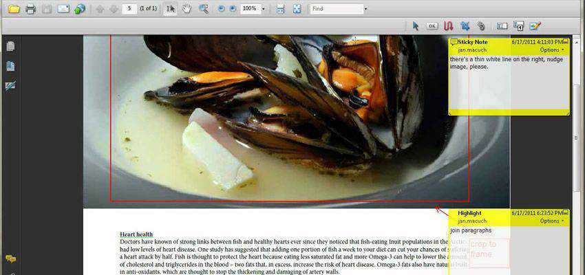 Annotations adobe indesign plugin