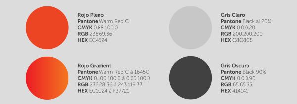 Cate Corp Color Pallette Design brand identity