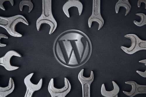 Things You Should Know Before Customizing WordPress