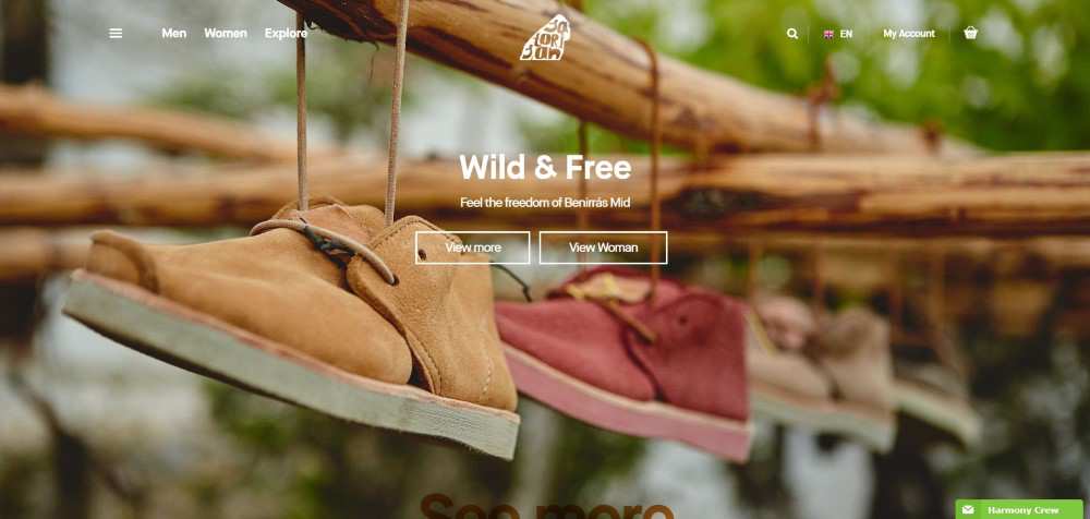 Satorisan ecommerce web design inspiration user interface shop