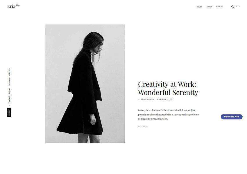 ErisLite free wordpress theme wp responsive fashion lifestyle blog