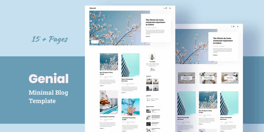 Genial Minimal Blog Free Responsive HTML CSS Web Template