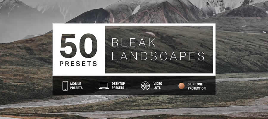 Bleak Lightroom Presets and LUTs Lightroom LUTs Photography