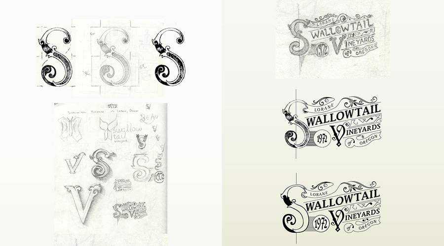 Swallowtail Vineyards Logo Progression design sketch paper pencil pen inspiration