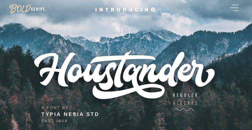 Houstander Font-Duo logo font typeface logotype