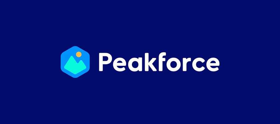 Peakforce simple logo design inspiration