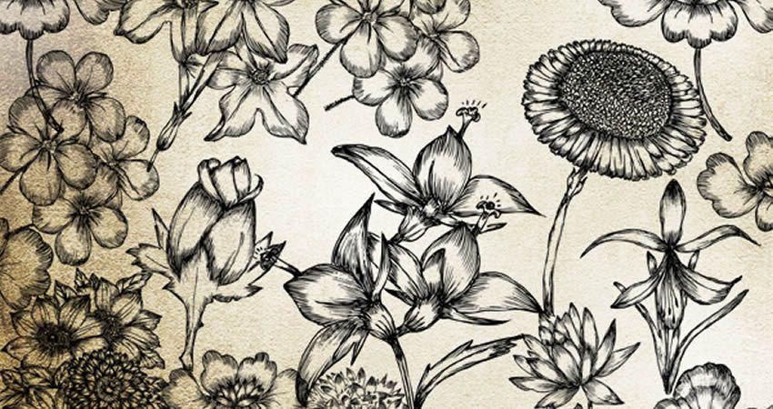 Hand Drawn Flowers vector template free illustrator