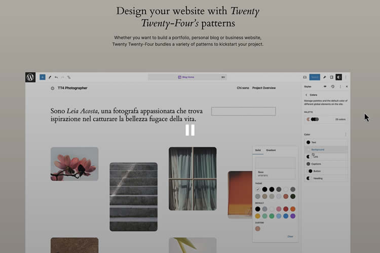 Introducing the Twenty Twenty-Four WordPress Theme