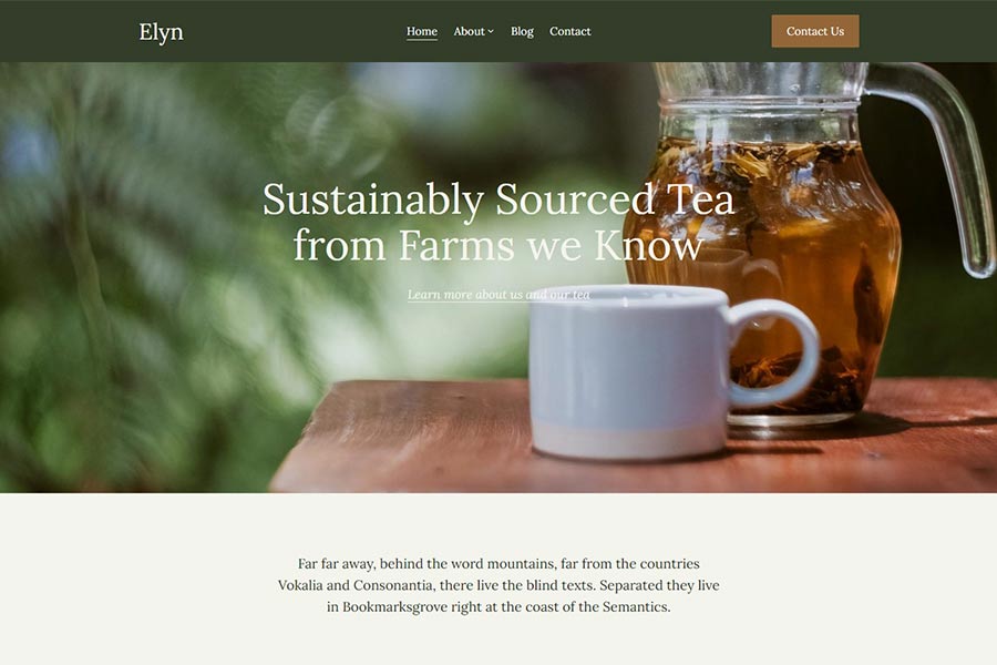 Elyn WordPress Theme Preview